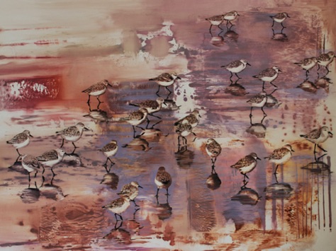 Snowy Plovers
36x48
oil on paper on aluminum